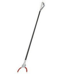 Flore de ramasseur de déchets type 42