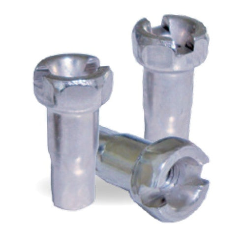Nipples de rayon Alpina 13 (P144)