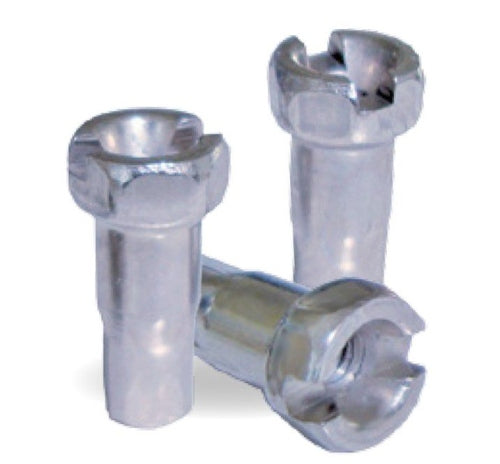 Nipples de rayon Alpina 14 (P144)