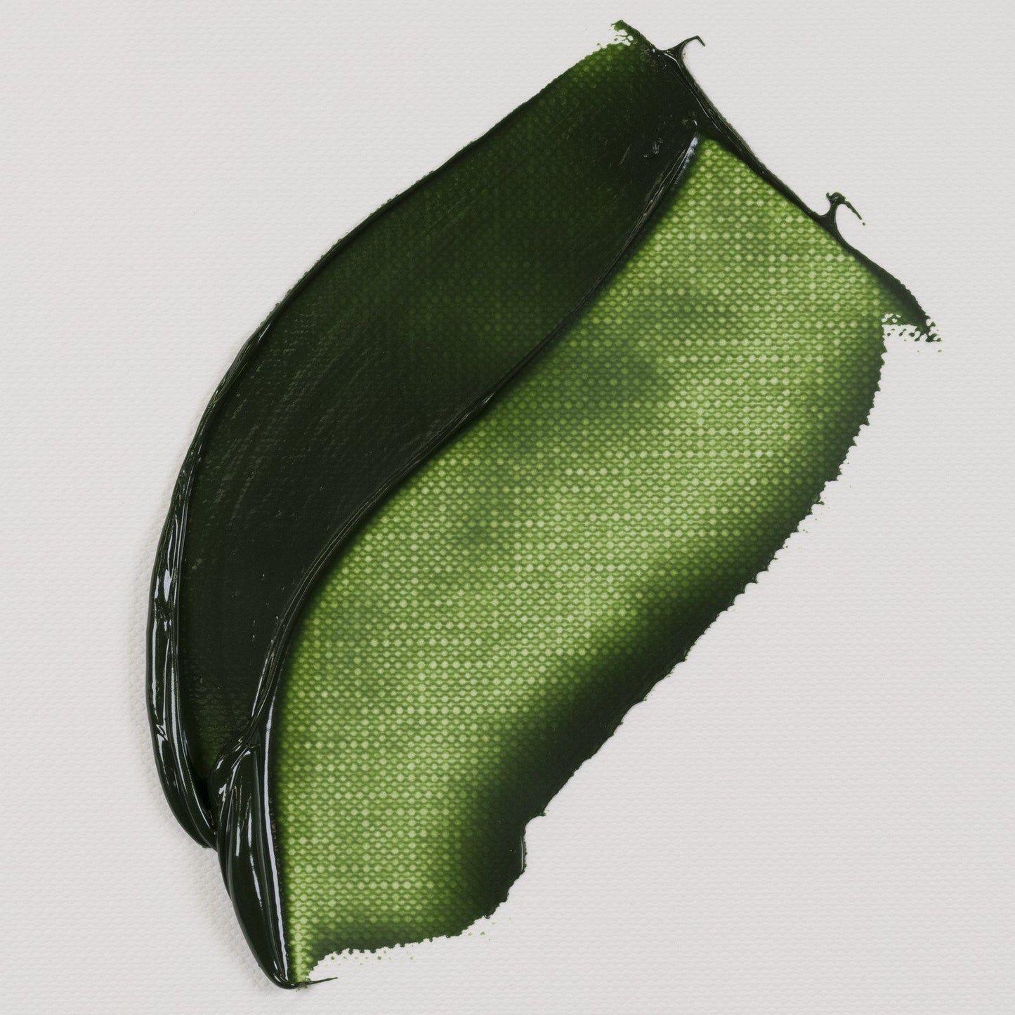 Van Gogh • peinture à l'huile tube 20ml vert de sève 623