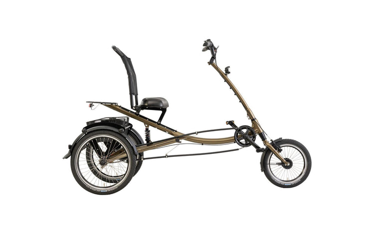 Pfautec Shopping Bike ScooterTrike (# 1)