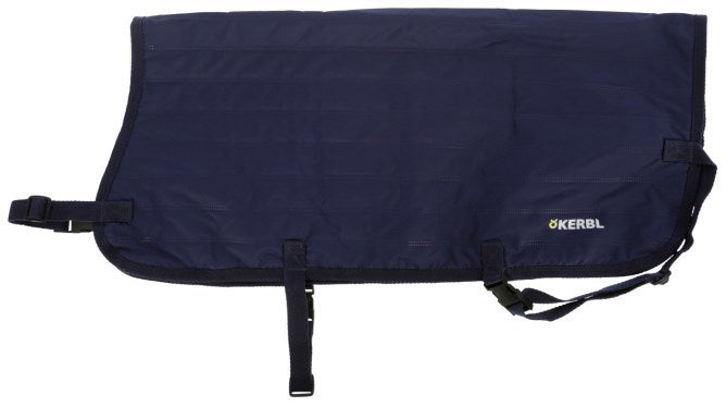 Coussin mollet easywear bleu 70cm