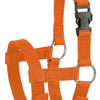 Licol alpaga orange