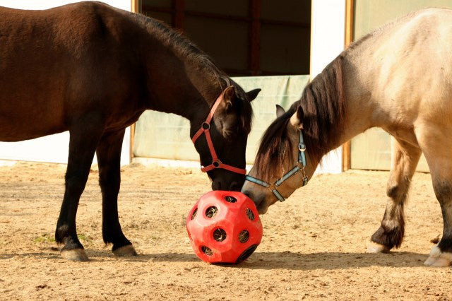 Boule d'alimentation rouge