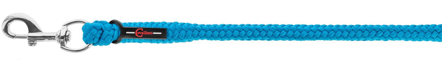 Ligne de plomb avec mousqueton hippo pe bleu