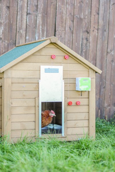 Ensemble porte poulet automatique 30x40cm