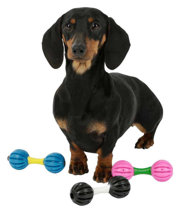 Haltère jouet pour chien | 32 pièces
