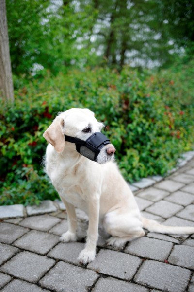 Muselière en nylon pour chien taille XL noir
