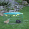 Enclos pour lapins en plein air 6 angulaire avec filet de protection