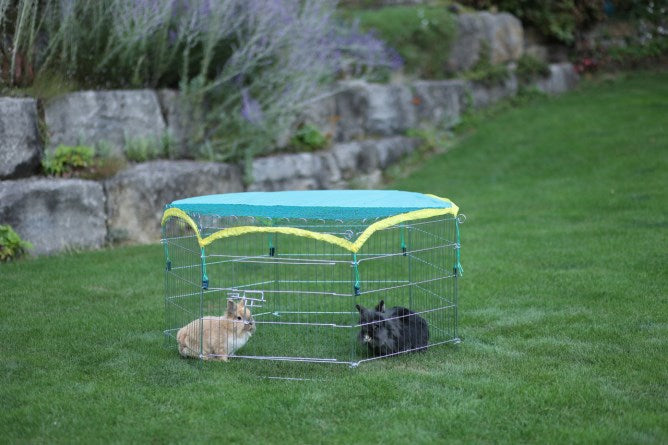 Enclos pour lapins en plein air 6 angulaire avec filet de protection
