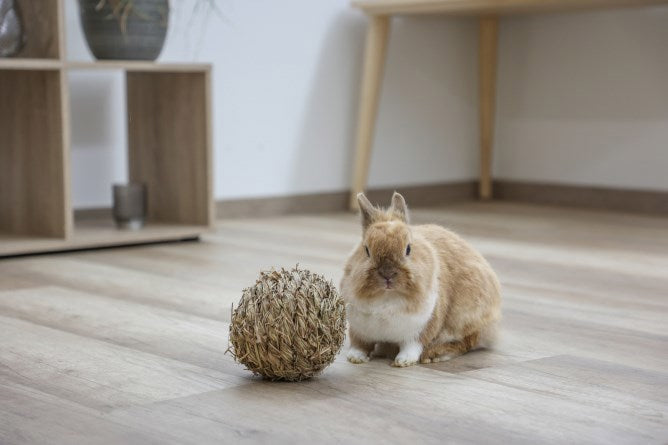 Boule d'herbe Kerbl %c3%b8 13 cm
