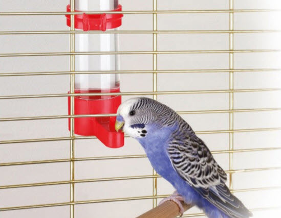 Abreuvoir à oiseaux Kerbl 16 cm 130 ml