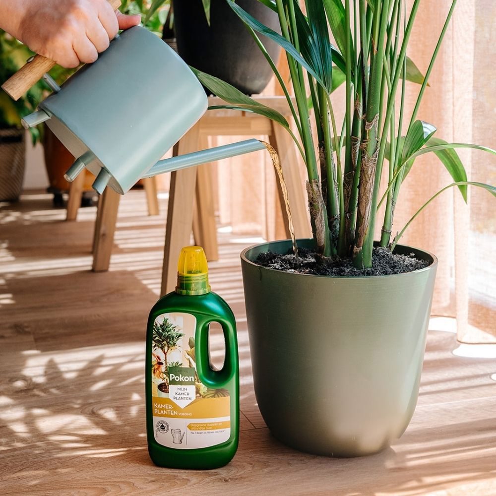 Nourriture pour plantes d'intérieur Pokon 1l