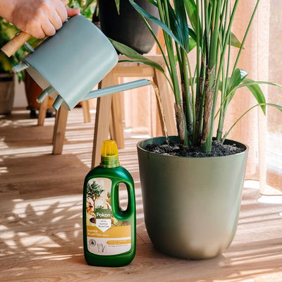 Nourriture pour plantes d'intérieur Pokon 1l