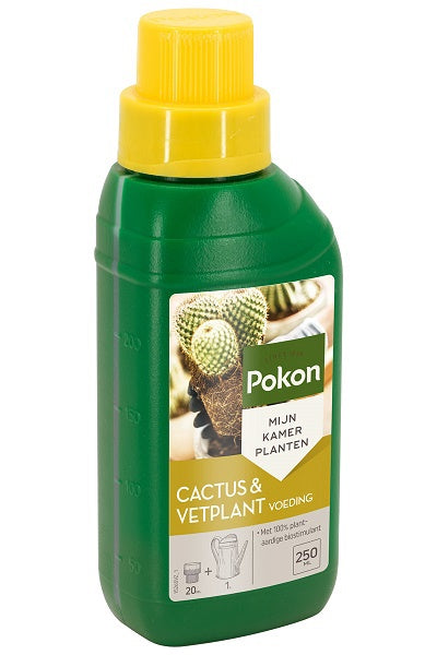 Pokon bio aliment pour plantes succulentes cactus 250ml