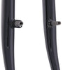 Point Fork 24 Canti Arbre 1 b