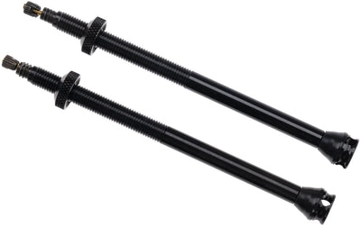 Valve Schwalbe valve tubeless tl sv 100 mm