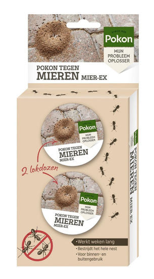 Boîte d'appâts Pokon contre les fourmis 2 pcs