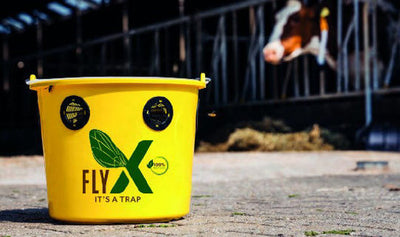Seau à mouche flyx 12l complet avec attractif