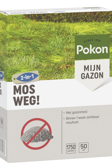 Pokon mousse loin 50 m2 1750gr