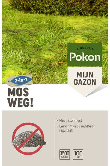 Pokon mousse loin 100 m2 3500gr
