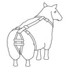 Bandage de prolapsus de bandage de soumissionnaire de corps pour le mouton