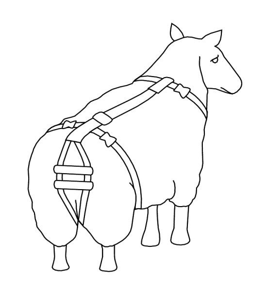 Bandage de prolapsus de bandage de soumissionnaire de corps pour le mouton