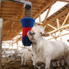 Brosse à bovins Happycow flexiswing