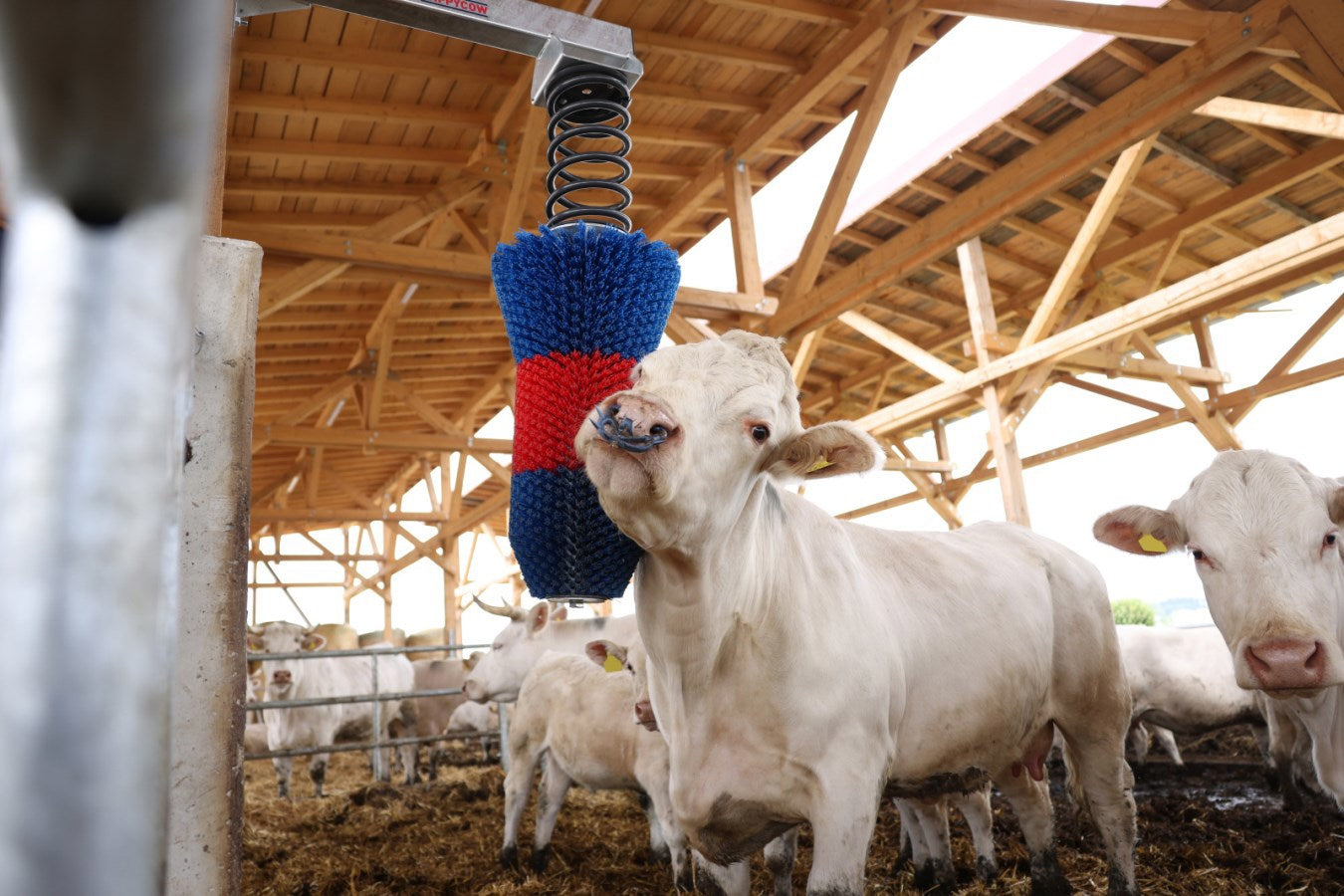 Brosse à bovins Happycow flexiswing