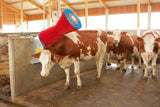 Brosse à vache Happycow uno horizontale - afbeelding 3