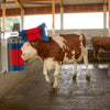 Duo de brosses à vaches Happycow