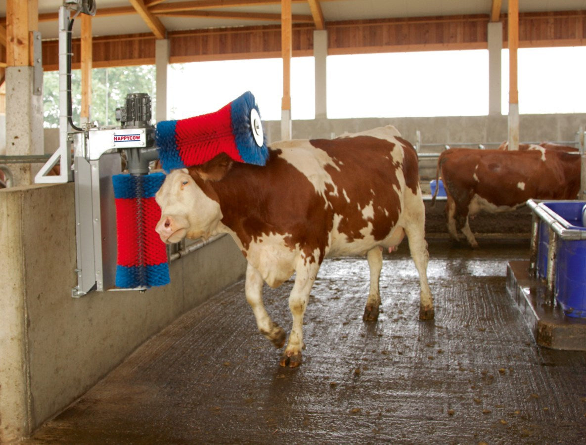 Duo de brosses à vaches Happycow