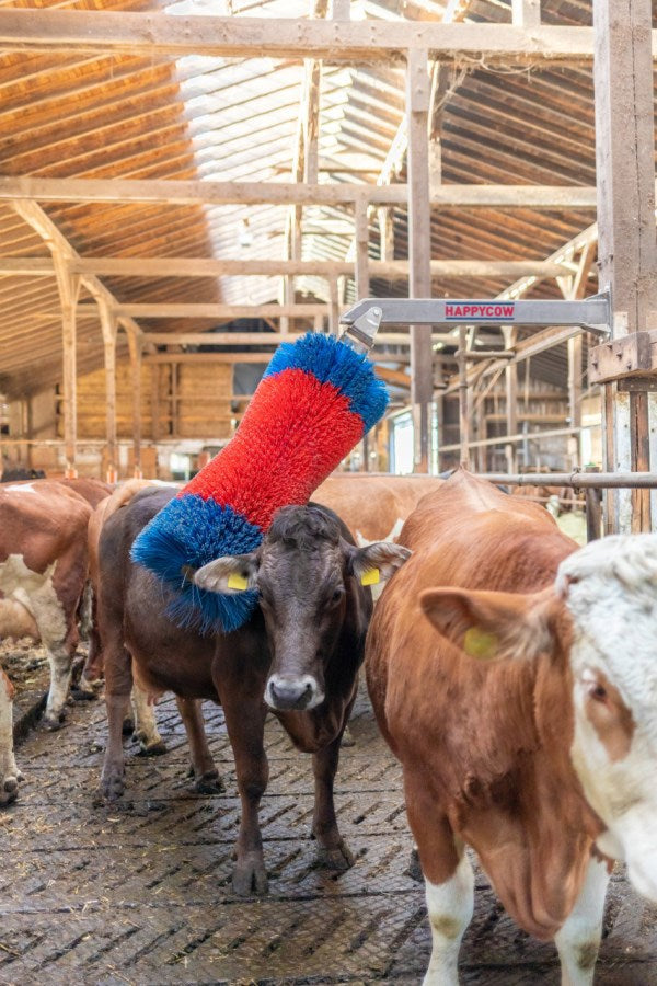 Brosse à bétail Happycow freemaxi