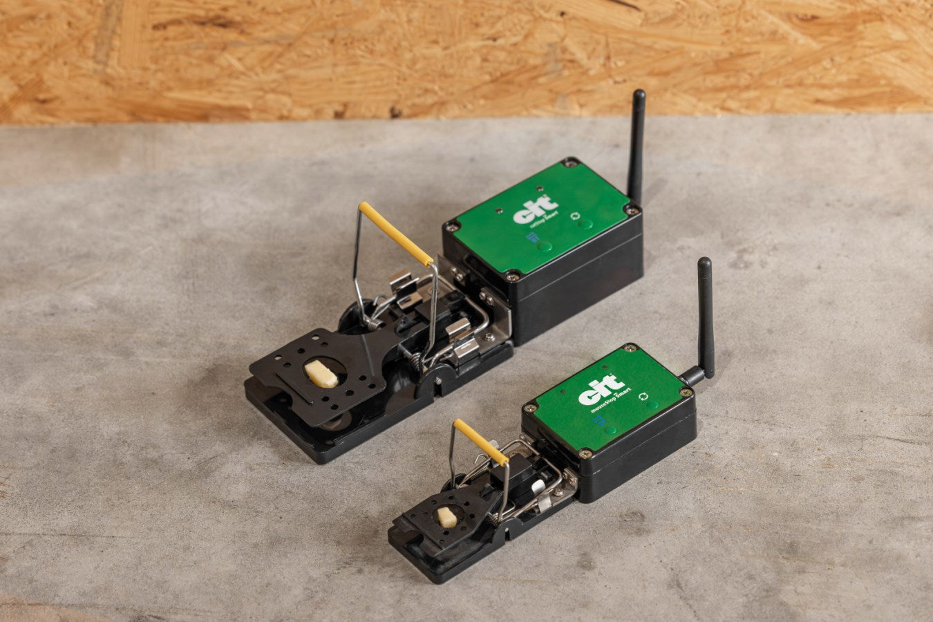 Piège à rats smart cit ratstop