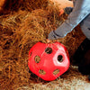 Boule d'alimentation rouge