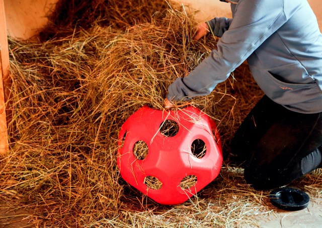 Boule d'alimentation rouge