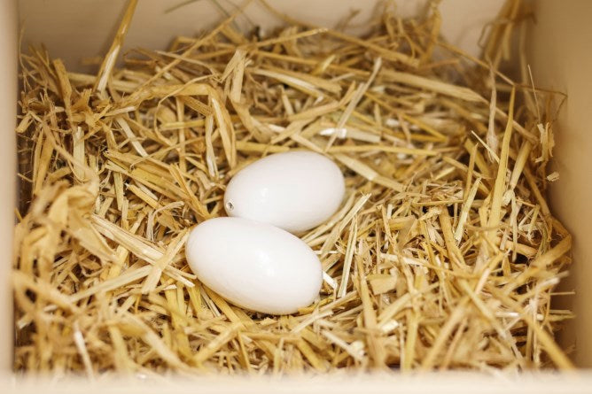 Nids d'œufs Kerbl en argile de poules