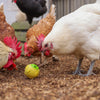 Balle snack pour poules %c3%b8 75 cm jaune