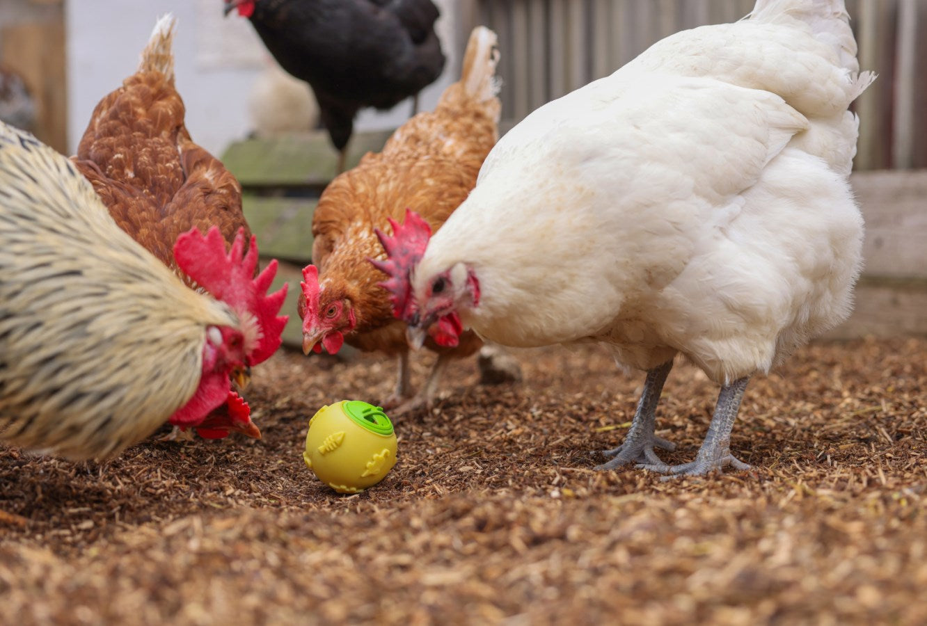 Balle snack pour poules %c3%b8 75 cm jaune