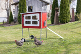 Poulailler en bois Mobilecoop - afbeelding 3