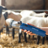 Tondeuse Aesculap econom econom nova 200 watts mouton