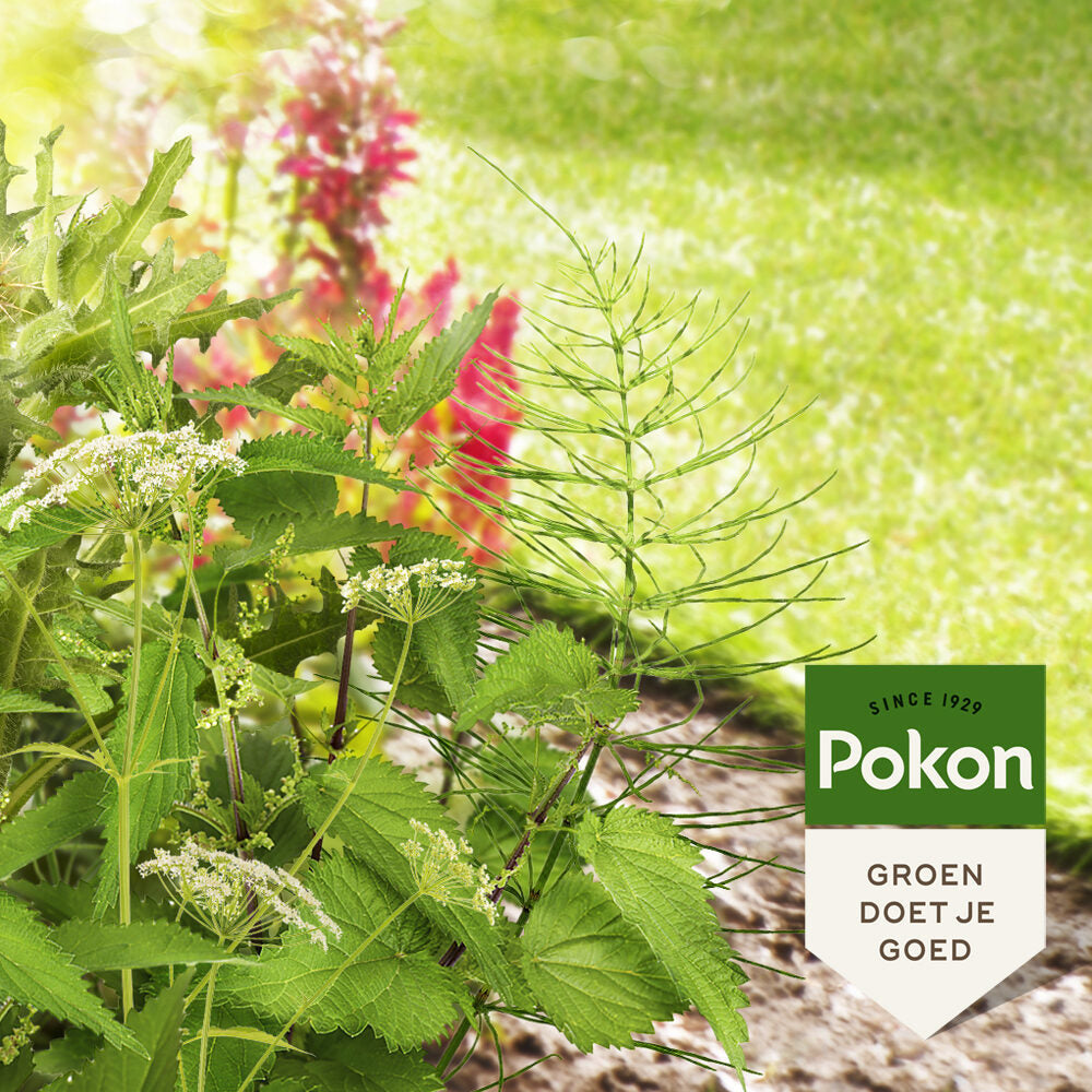 Pokon contre les mauvaises herbes tenaces concentré 100ml weedex