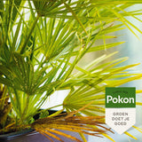 Pokon bio contre les insectes persistants concentré 175ml poly - afbeelding 3