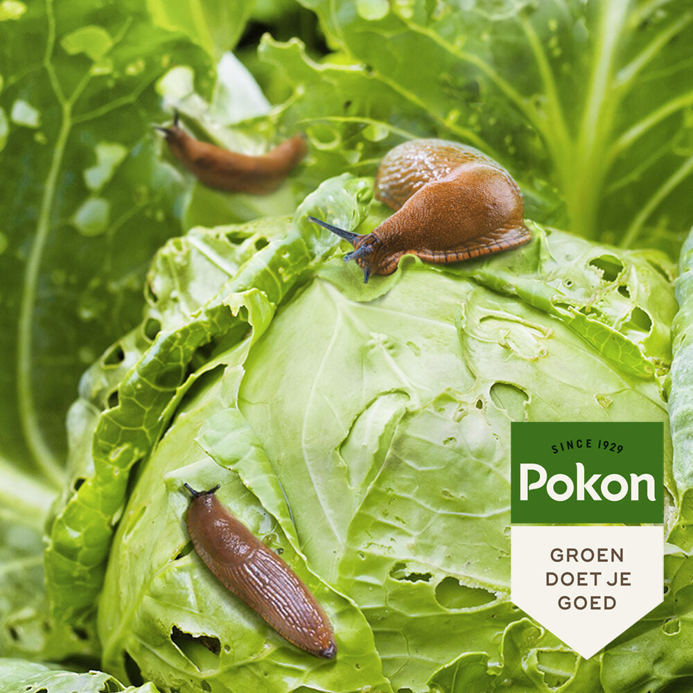 Pokon bio contre les escargots granulés 900gr