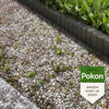 Pokon contre les mauvaises herbes concentré 450ml
