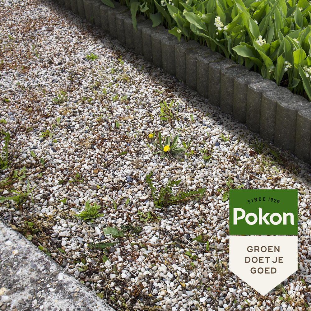 Pokon contre les mauvaises herbes concentré 450ml