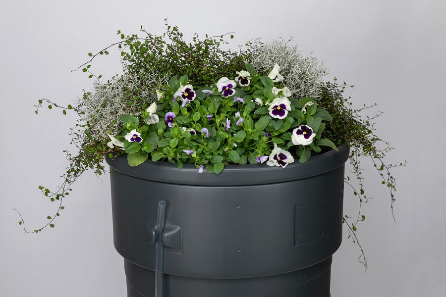 Jardinière de jardin en baril de pluie 230l