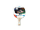 Table de tennis de table 2 étoiles
