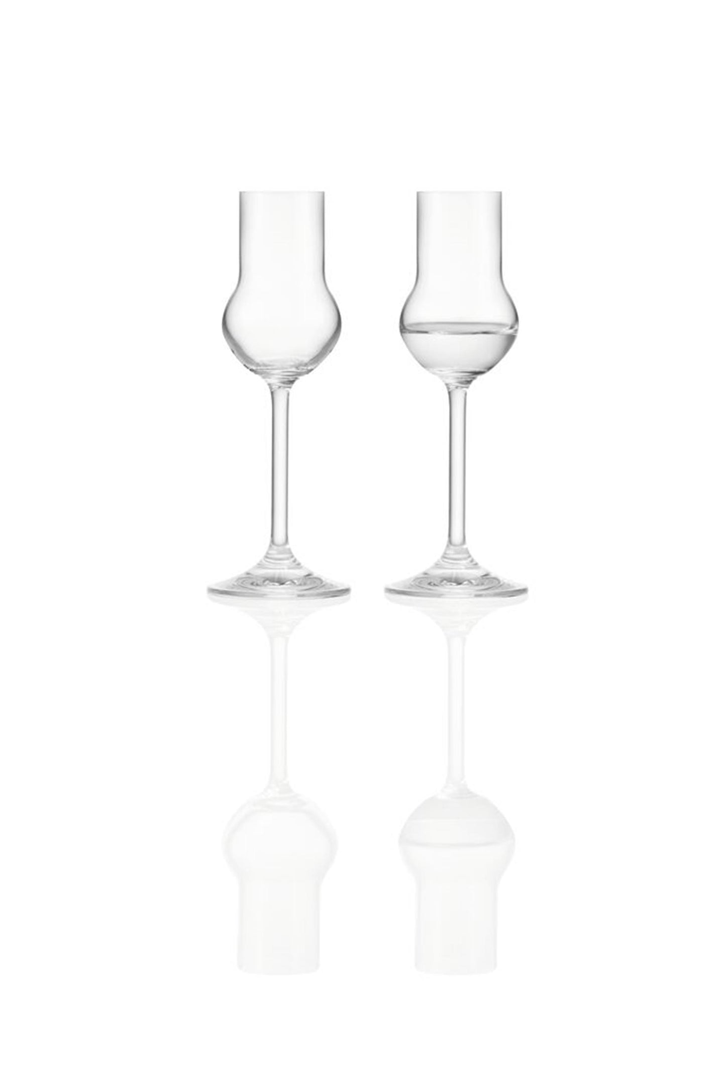 Verres à liqueur pure Montana 6pcs 60ml