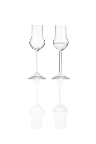 Verres à liqueur pure Montana 6pcs 60ml